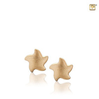 “Angeliq Star” oorknoppen, 2 kleuren ER1030-1031