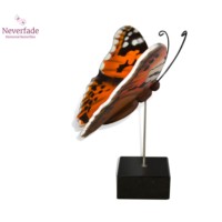 Houten mini-urn vlinder op granieten blokje, Distelvlinder
