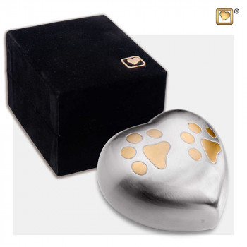 zilver-kleurig-mini-hart-urn-goudkleurige-dubbele-hondenpoot-black-box_lu-h-642