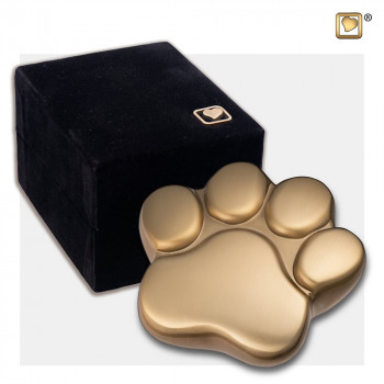urn-geborstelde-goudkleur-hondepoot-paw-keepsake-brushed-brass-box_lu-p-673k