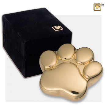 urn-glanzende-goudkleur-hondepoot-paw-keepsake-shiny-brass-box_lu-p-671k