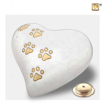 urn-hartvorm-wit-parel-effect-hondepoot-goudkleur-heart-pearlescent-white-groot-sluitschroef_lu-p-638l