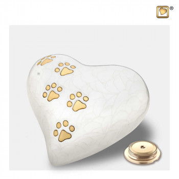 urn-hartvorm-wit-parel-effect-hondepoot-goudkleur-heart-pearlescent-white-medium-sluitschroef_lu-p-638m