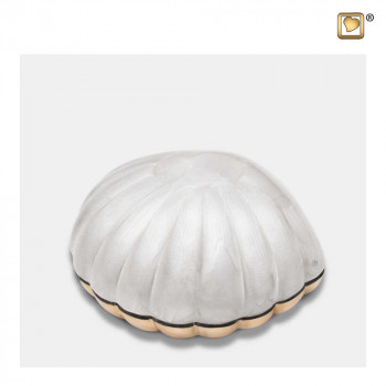 wit-parel-kleurige-mini-schelp-urn-shell-pearl_lu-k-641