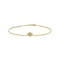 Armband ster, 14kt goud, Ashes collectie, Just Franky