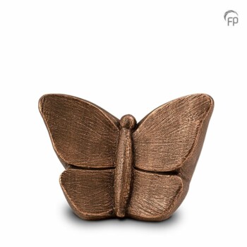 ugk-057-m-bronskleurige-middelmaat-urn-mariposa-vlinder