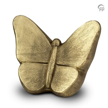 ugk-059-goudkleurige-grote-urn-mariposa-vlinder
