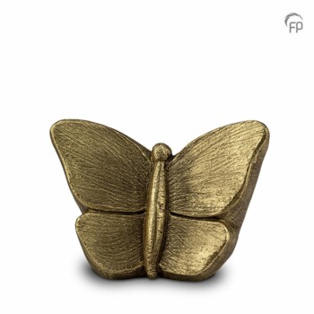 ugk-059-m-goudkleurige-middelmaat-urn-mariposa-vlinder