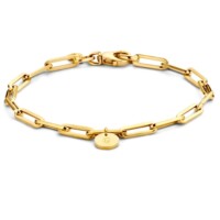 Charm armband petite met coin in 14kt geelgoud, Just Franky