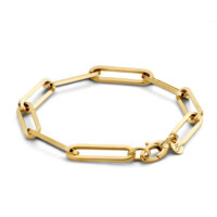 Charm armband in 14kt geelgoud, Just Franky